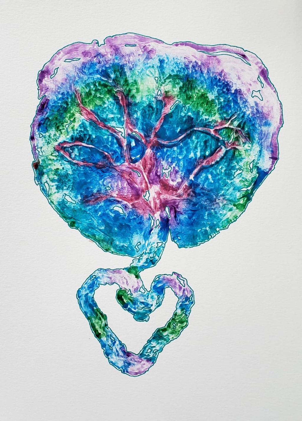 Curiosidades de la placenta: el órgano más desconocido (y fascinante) del nacimiento